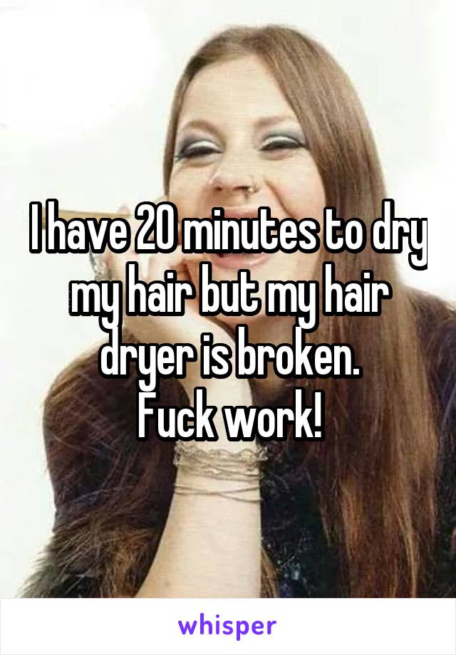 I have 20 minutes to dry my hair but my hair dryer is broken.
Fuck work!