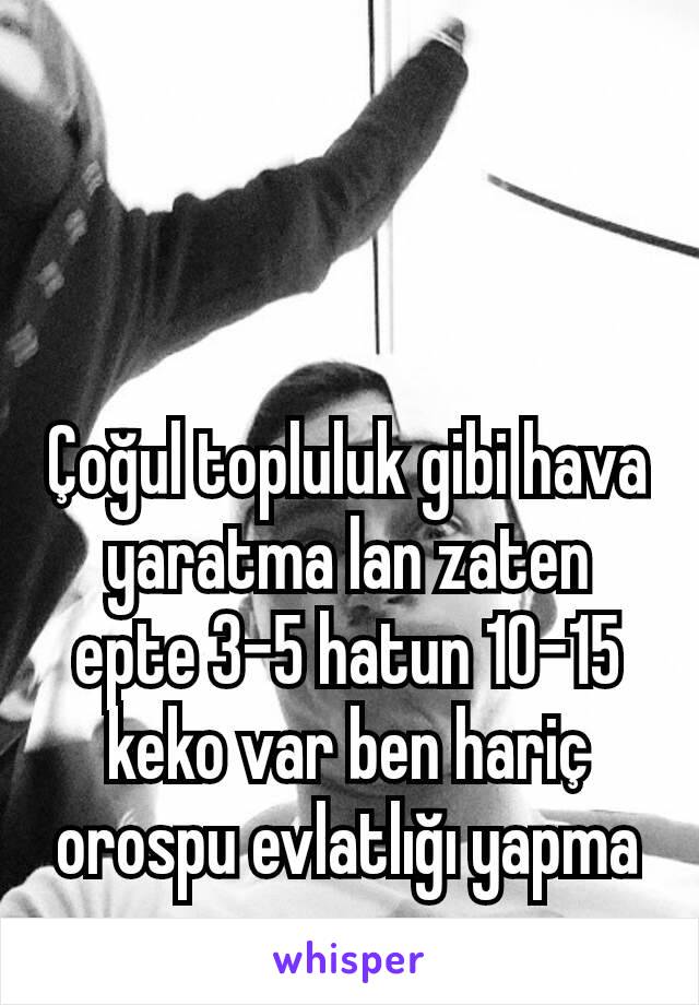 Çoğul topluluk gibi hava yaratma lan zaten epte 3-5 hatun 10-15 keko var ben hariç orospu evlatlığı yapma