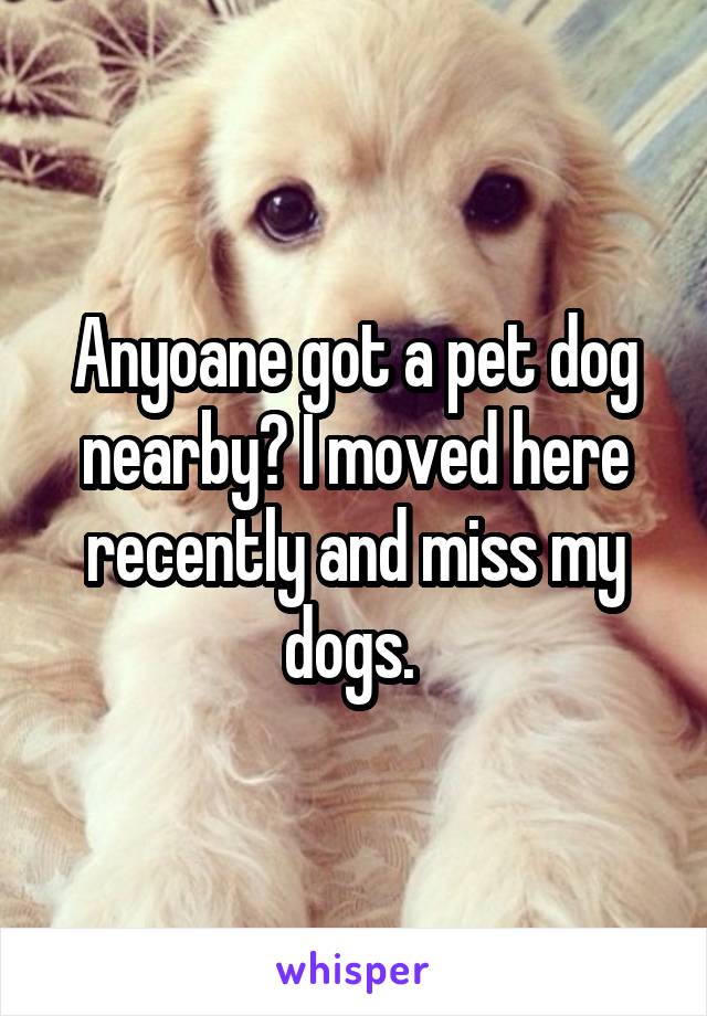 Anyoane got a pet dog nearby? I moved here recently and miss my dogs. 