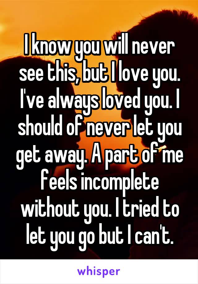 I know you will never see this, but I love you. I've always loved you. I should of never let you get away. A part of me feels incomplete without you. I tried to let you go but I can't.