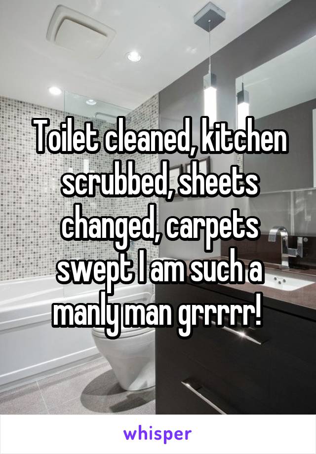 Toilet cleaned, kitchen scrubbed, sheets changed, carpets swept I am such a manly man grrrrr! 