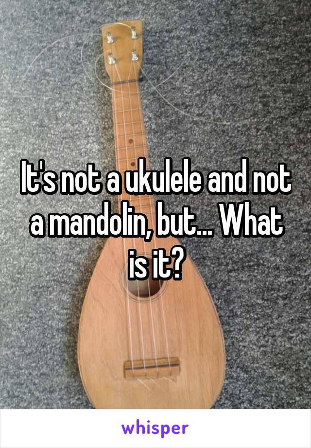 It's not a ukulele and not a mandolin, but... What is it?