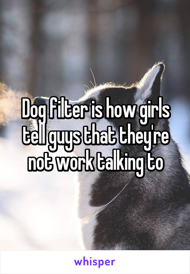 Dog filter is how girls tell guys that they're not work talking to