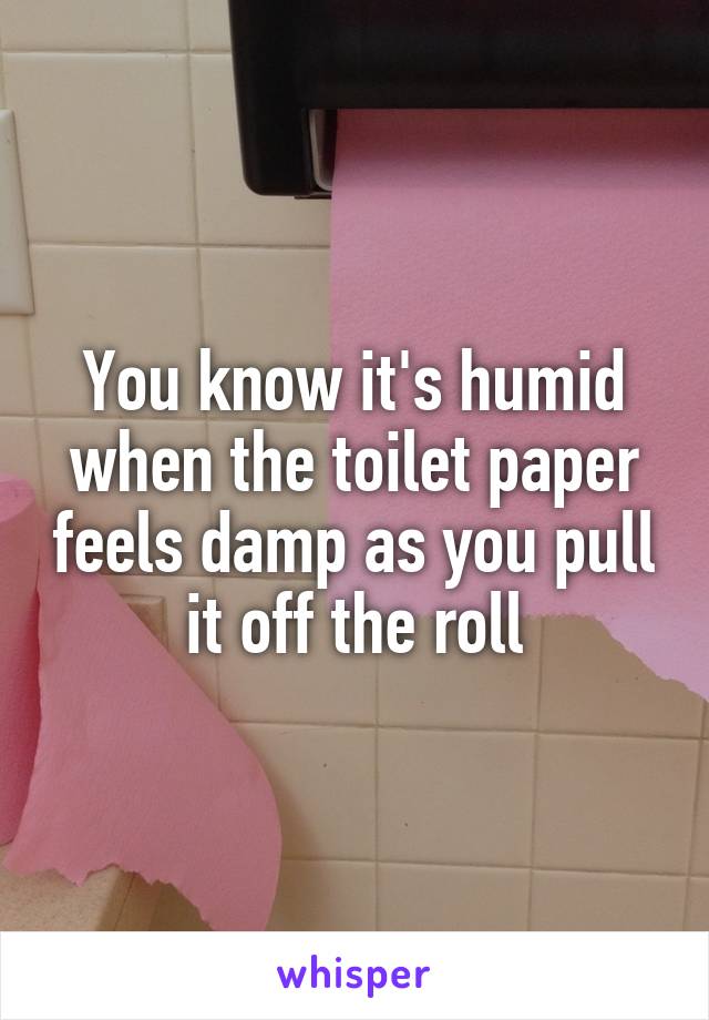 You know it's humid when the toilet paper feels damp as you pull it off the roll