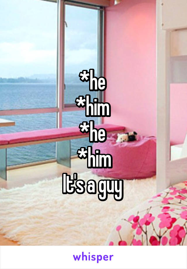 *he 
*him 
*he 
*him
It's a guy 