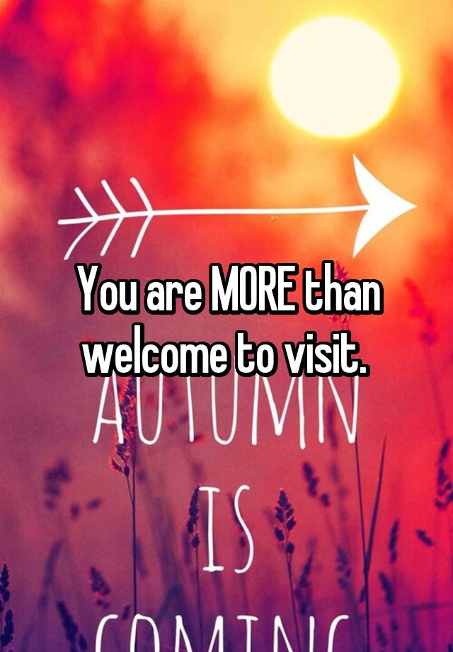 you-are-more-than-welcome-to-visit