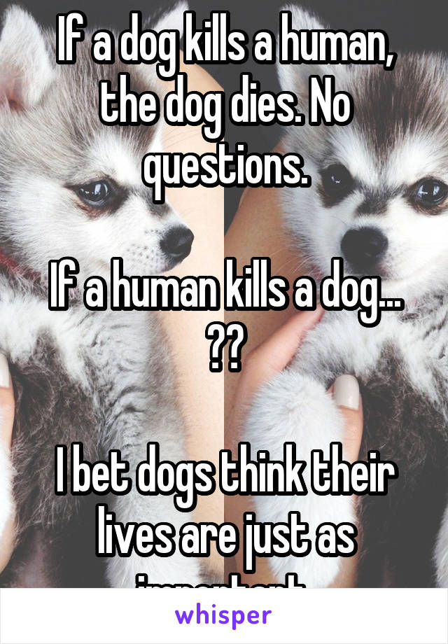 If a dog kills a human, the dog dies. No questions.

If a human kills a dog... ??

I bet dogs think their lives are just as important 