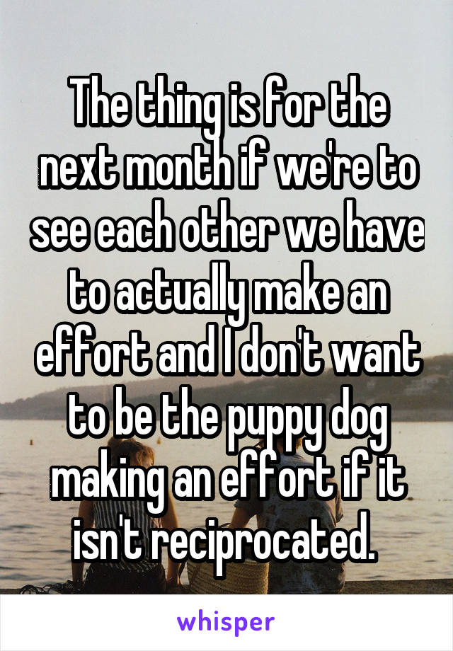 The thing is for the next month if we're to see each other we have to actually make an effort and I don't want to be the puppy dog making an effort if it isn't reciprocated. 