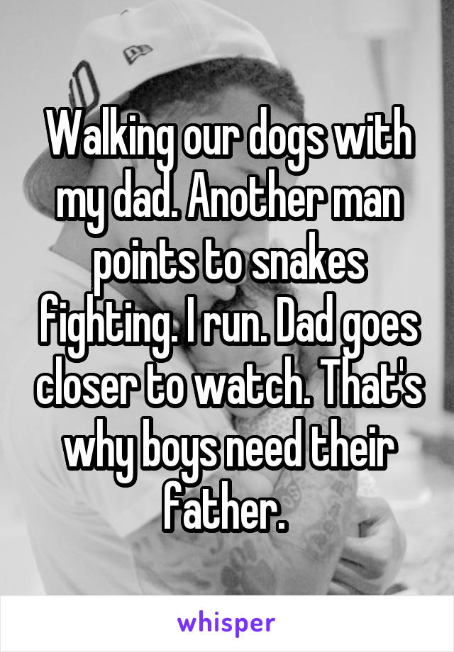 Walking our dogs with my dad. Another man points to snakes fighting. I run. Dad goes closer to watch. That's why boys need their father. 