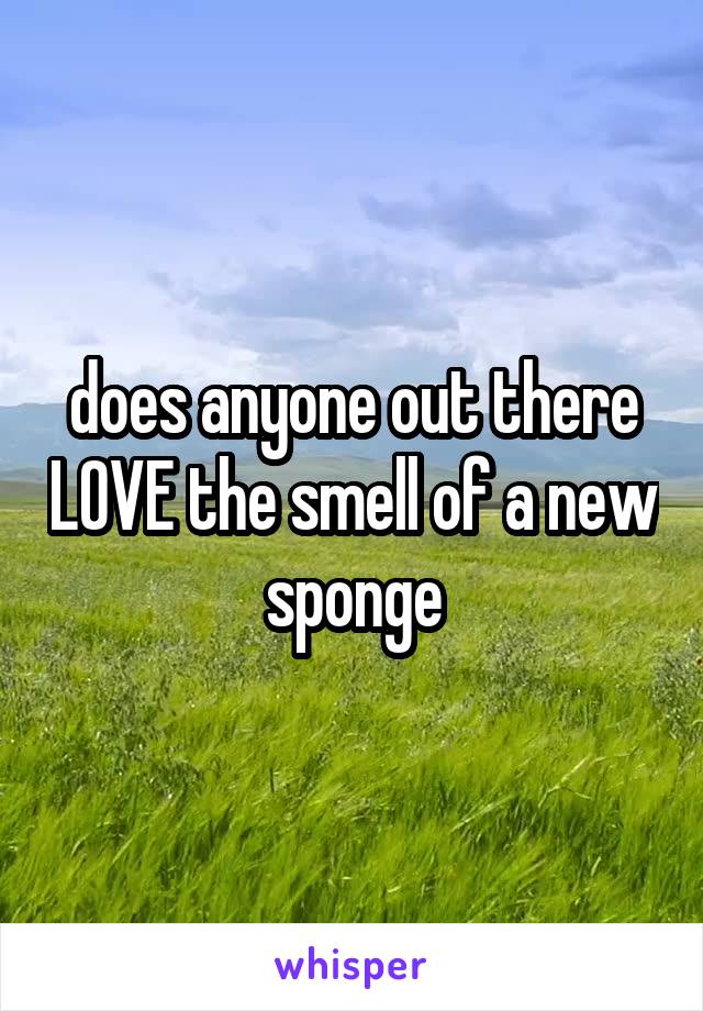 does anyone out there LOVE the smell of a new sponge