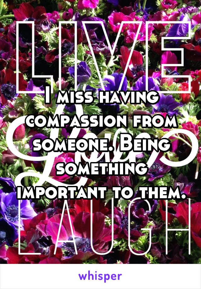 I miss having compassion from someone. Being something important to them.