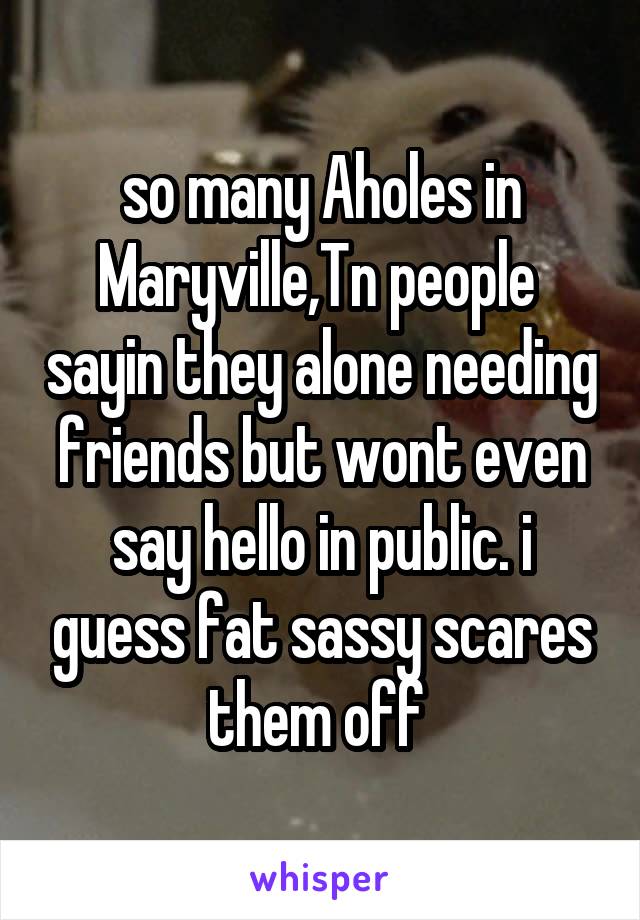 so many Aholes in Maryville,Tn people  sayin they alone needing  friends but wont even  say hello in public. i guess fat sassy scares them off 