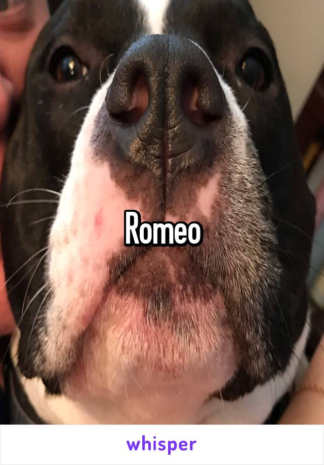 Romeo