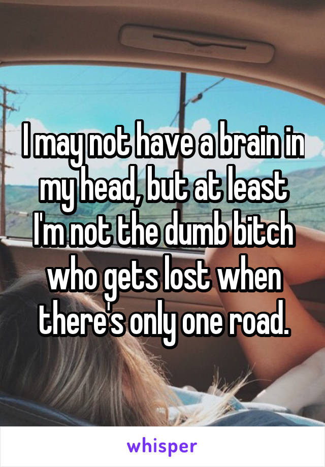 I may not have a brain in my head, but at least I'm not the dumb bitch who gets lost when there's only one road.