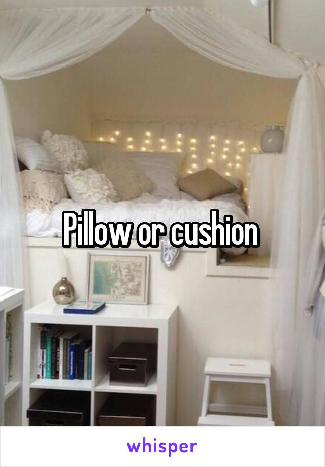 Pillow or cushion 