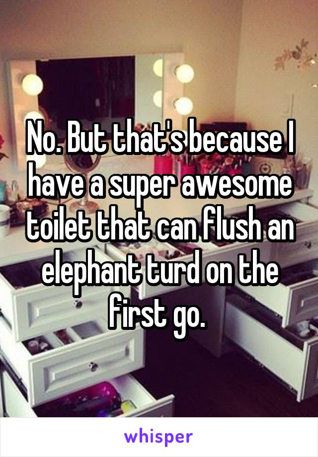 No. But that's because I have a super awesome toilet that can flush an elephant turd on the first go. 