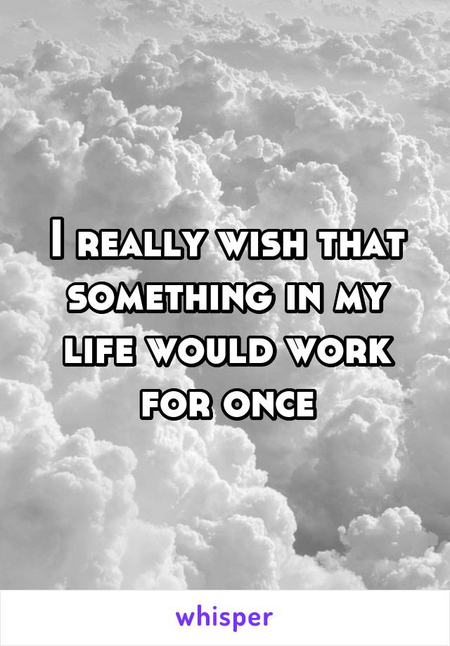 I really wish that something in my life would work for once