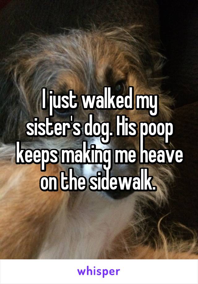 I just walked my sister's dog. His poop keeps making me heave on the sidewalk. 