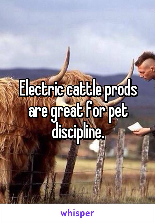 Electric cattle prods are great for pet discipline.