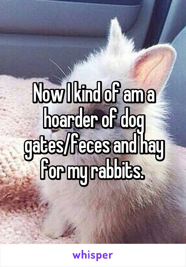 Now I kind of am a hoarder of dog gates/feces and hay for my rabbits. 