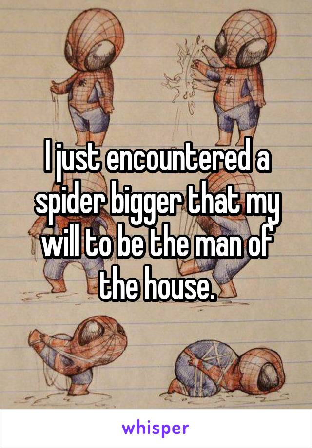 I just encountered a spider bigger that my will to be the man of the house.