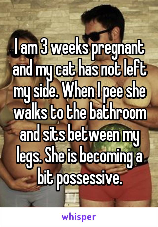 I am 3 weeks pregnant and my cat has not left my side. When I pee she walks to the bathroom and sits between my legs. She is becoming a bit possessive.