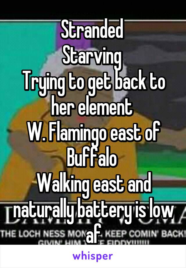 Stranded 
Starving 
Trying to get back to her element 
W. Flamingo east of Buffalo 
Walking east and naturally battery is low af