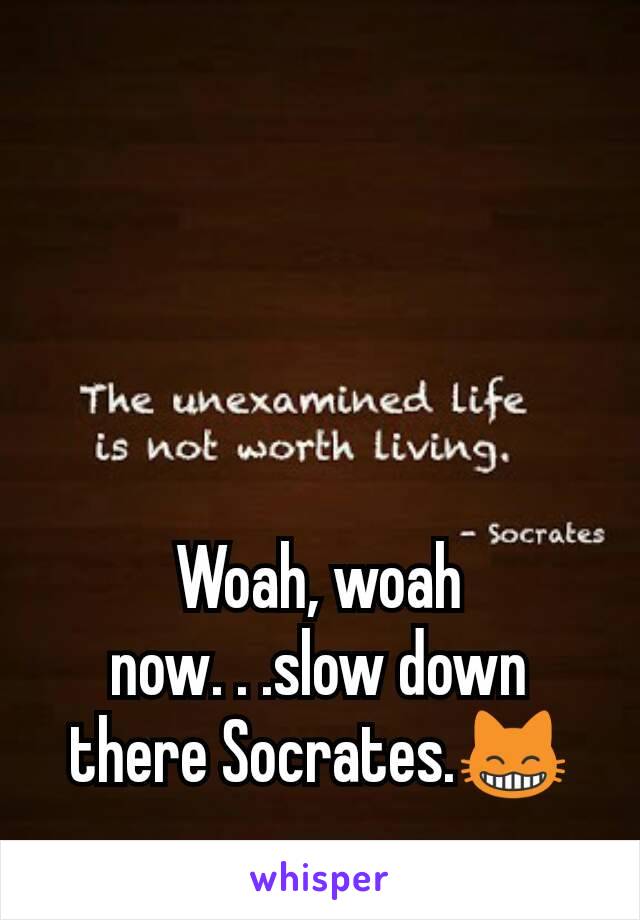 Woah, woah now. . .slow down there Socrates.😸