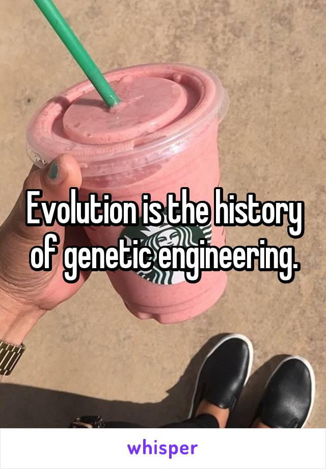 Evolution is the history of genetic engineering.