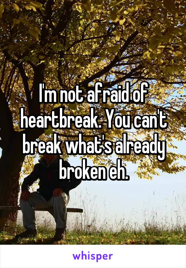 I'm not afraid of heartbreak. You can't break what's already broken eh.