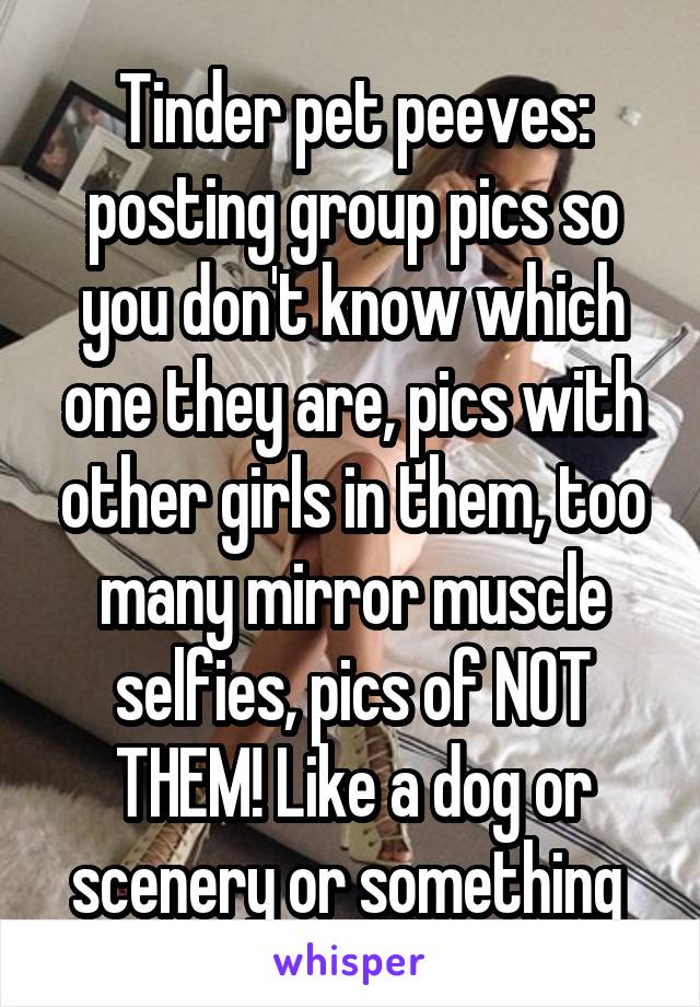 Tinder pet peeves: posting group pics so you don't know which one they are, pics with other girls in them, too many mirror muscle selfies, pics of NOT THEM! Like a dog or scenery or something 