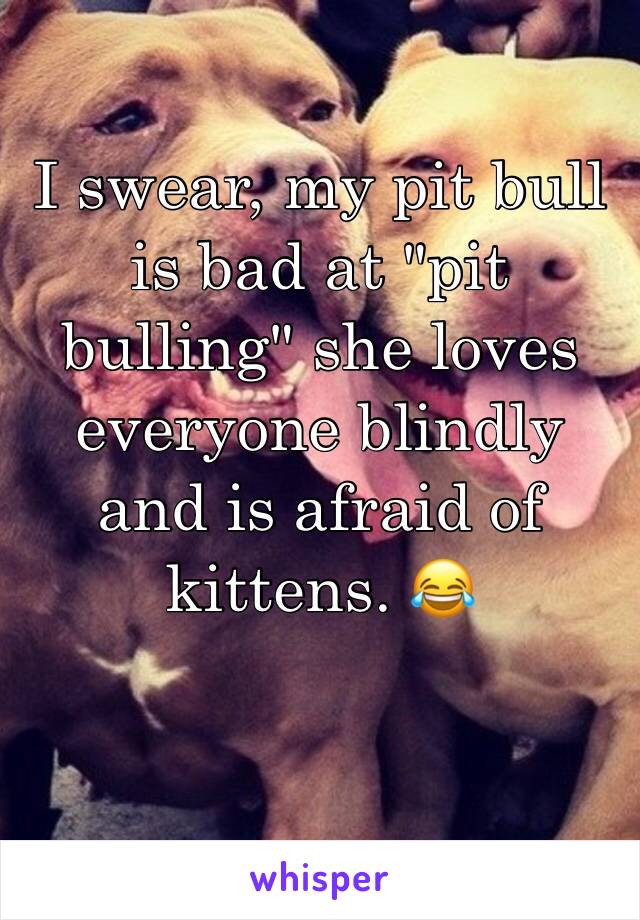 I swear, my pit bull is bad at "pit bulling" she loves everyone blindly and is afraid of kittens. 😂