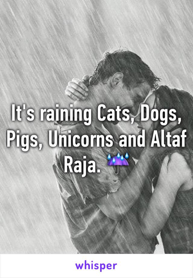 It's raining Cats, Dogs, Pigs, Unicorns and Altaf Raja. ☔