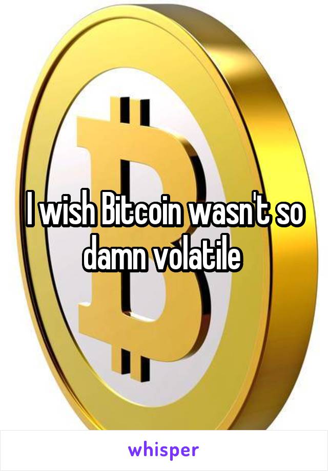 I wish Bitcoin wasn't so damn volatile 