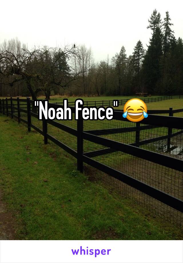 "Noah fence" 😂