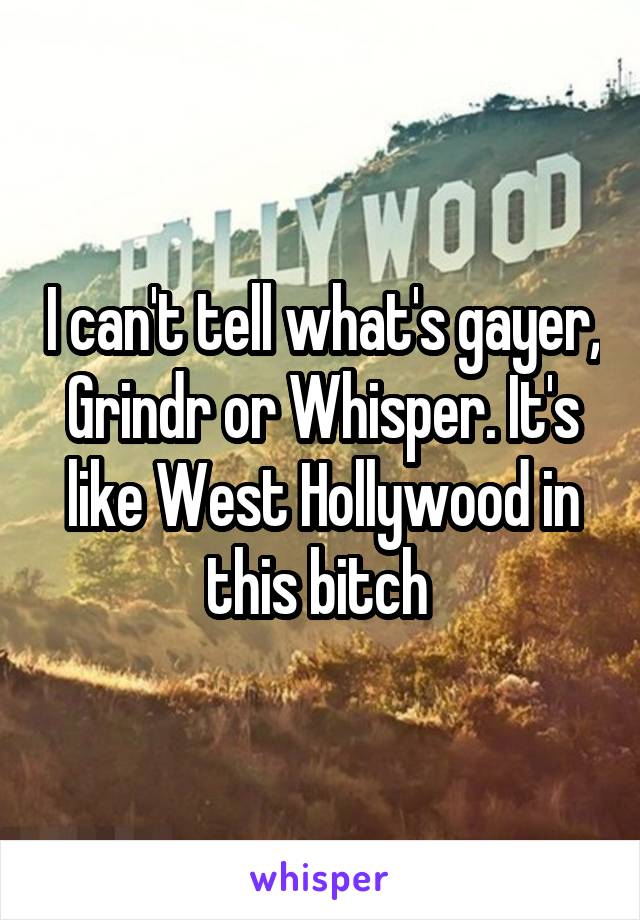 I can't tell what's gayer, Grindr or Whisper. It's like West Hollywood in this bitch 