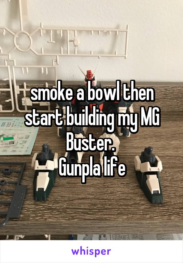 smoke a bowl then start building my MG Buster. 
Gunpla life