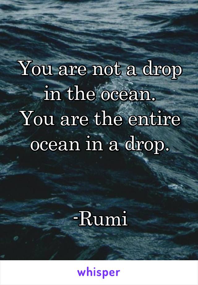 You are not a drop in the ocean.
You are the entire ocean in a drop.


-Rumi