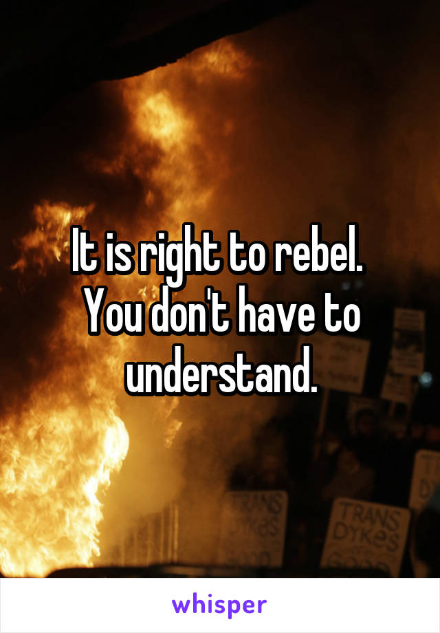 It is right to rebel. 
You don't have to understand.