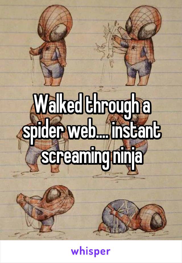 Walked through a spider web.... instant screaming ninja