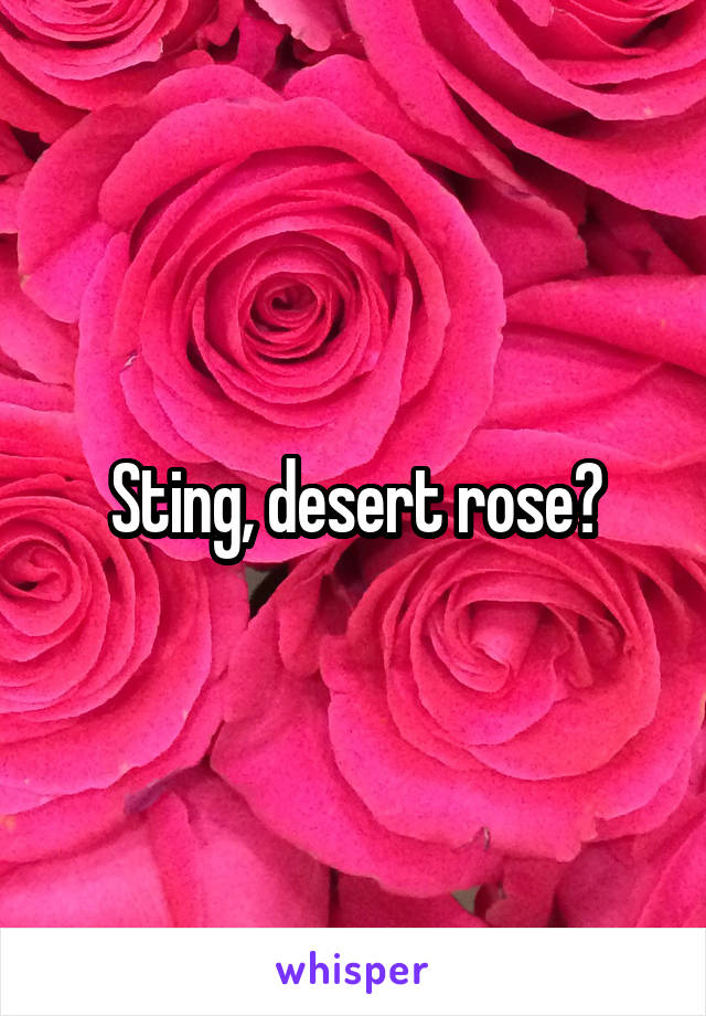 Sting, desert rose?