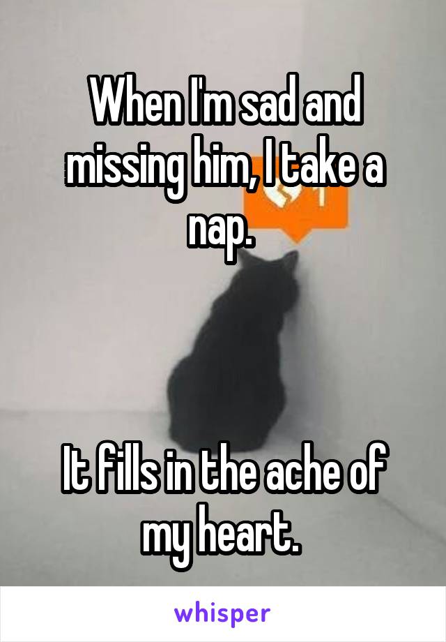 When I'm sad and missing him, I take a nap. 



It fills in the ache of my heart. 