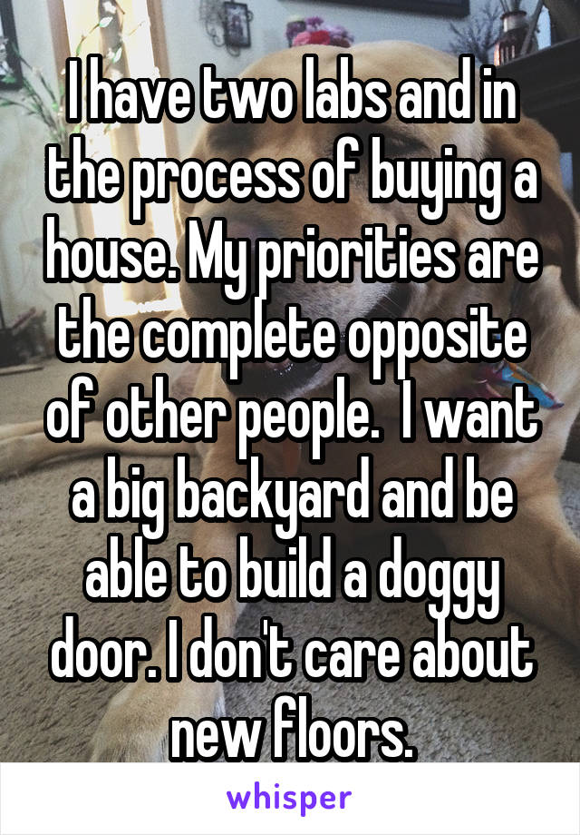 I have two labs and in the process of buying a house. My priorities are the complete opposite of other people.  I want a big backyard and be able to build a doggy door. I don't care about new floors.