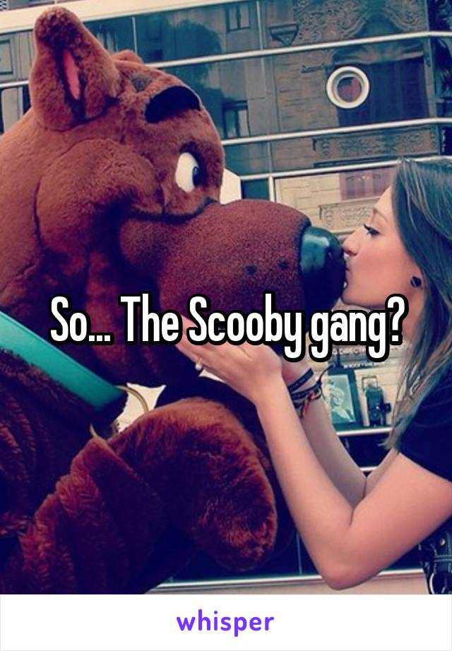 So... The Scooby gang?