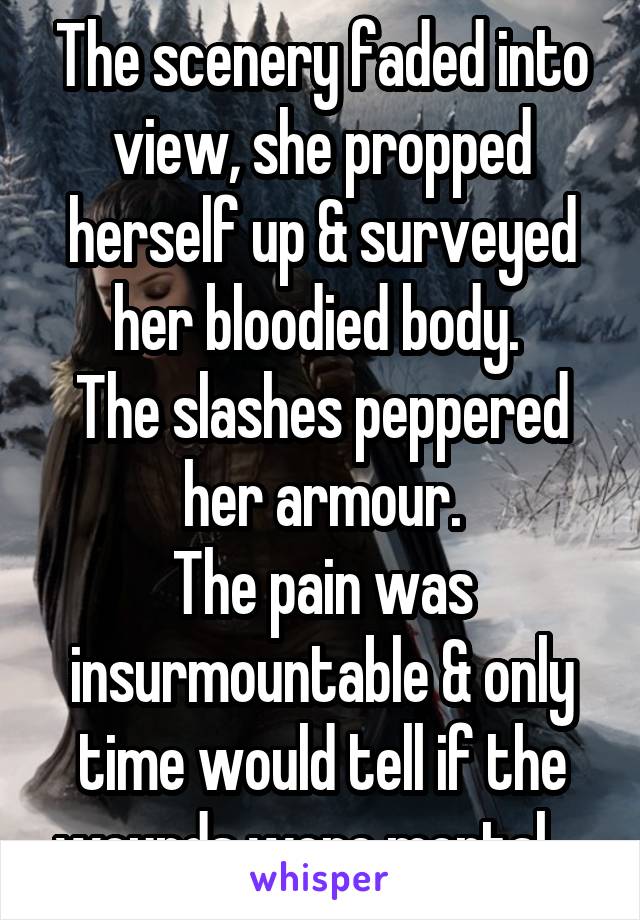 The scenery faded into view, she propped herself up & surveyed her bloodied body. 
The slashes peppered her armour.
The pain was insurmountable & only time would tell if the wounds were mortal....