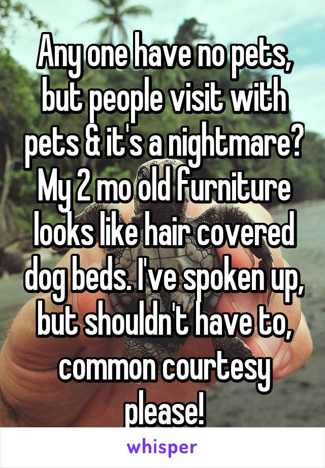 Any one have no pets, but people visit with pets & it's a nightmare? My 2 mo old furniture looks like hair covered dog beds. I've spoken up, but shouldn't have to, common courtesy please!