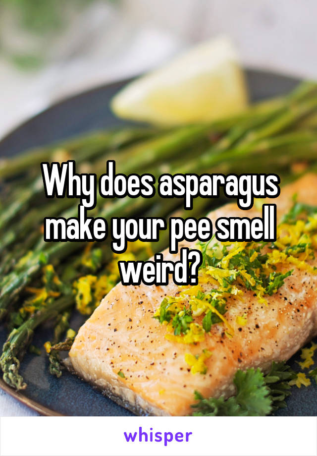 Why does asparagus make your pee smell weird?