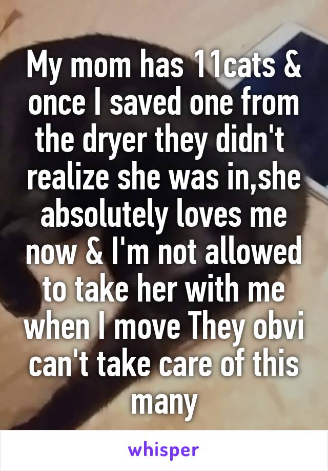 My mom has 11cats & once I saved one from the dryer they didn't  realize she was in,she absolutely loves me now & I'm not allowed to take her with me when I move They obvi can't take care of this many