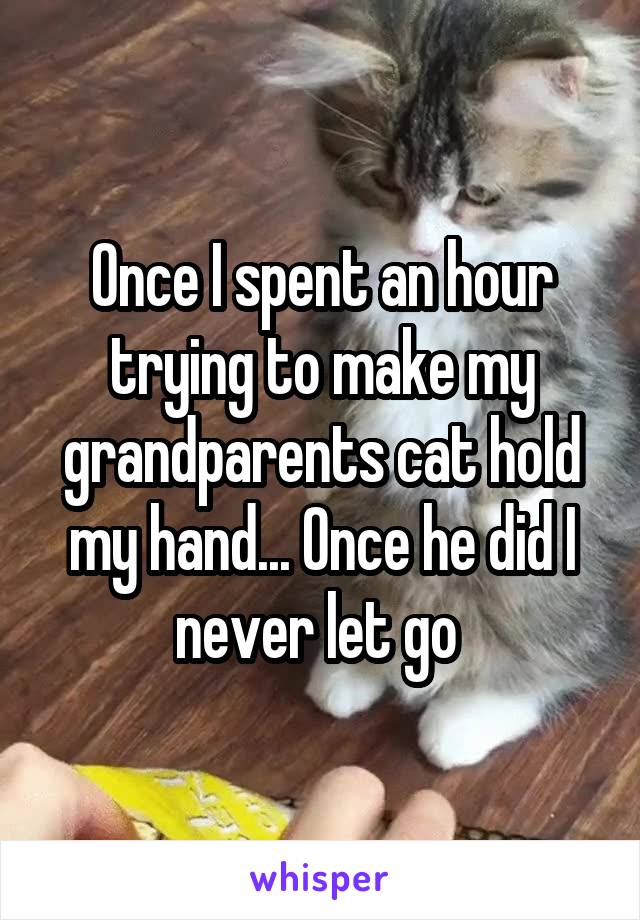 Once I spent an hour trying to make my grandparents cat hold my hand... Once he did I never let go 