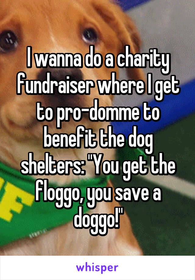 I wanna do a charity fundraiser where I get to pro-domme to benefit the dog shelters: "You get the floggo, you save a doggo!"